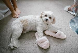 PHOTO-11